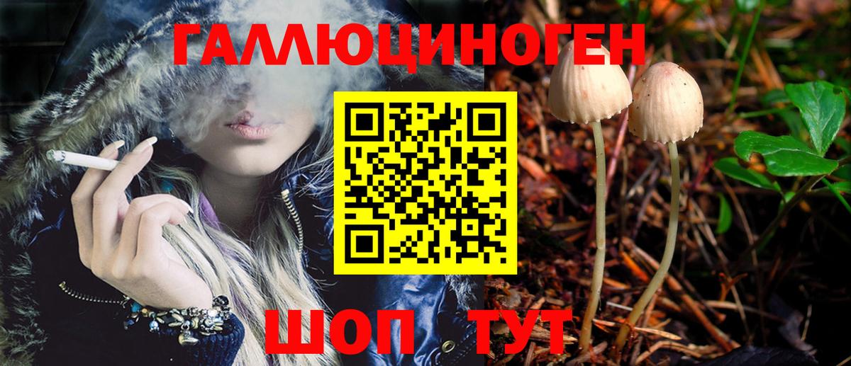 Галлюциногенные грибы Magic Shrooms  Псилоцибиновые грибы мухоморы  купить наркотик  Сибай  Вход с VPN 